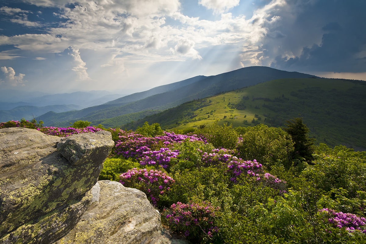 Tales From Tennessee's Frozen Head Peaks 