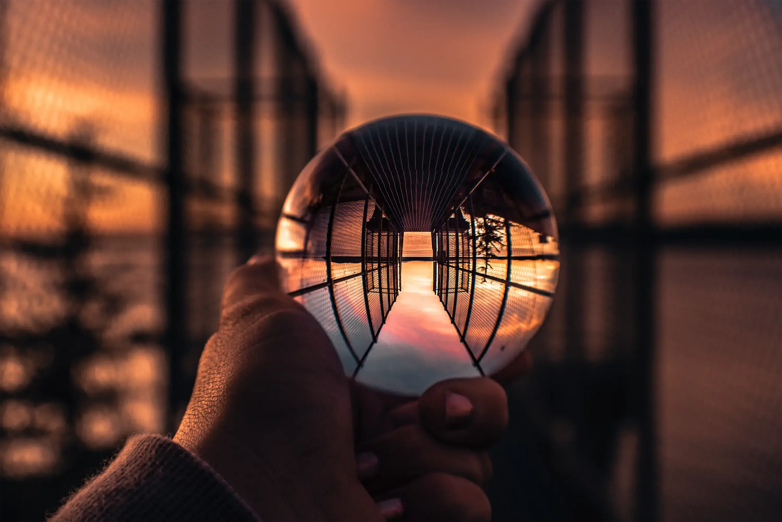 How to Use a Lens Ball: 10 Creative Lensball Photography Ideas ...