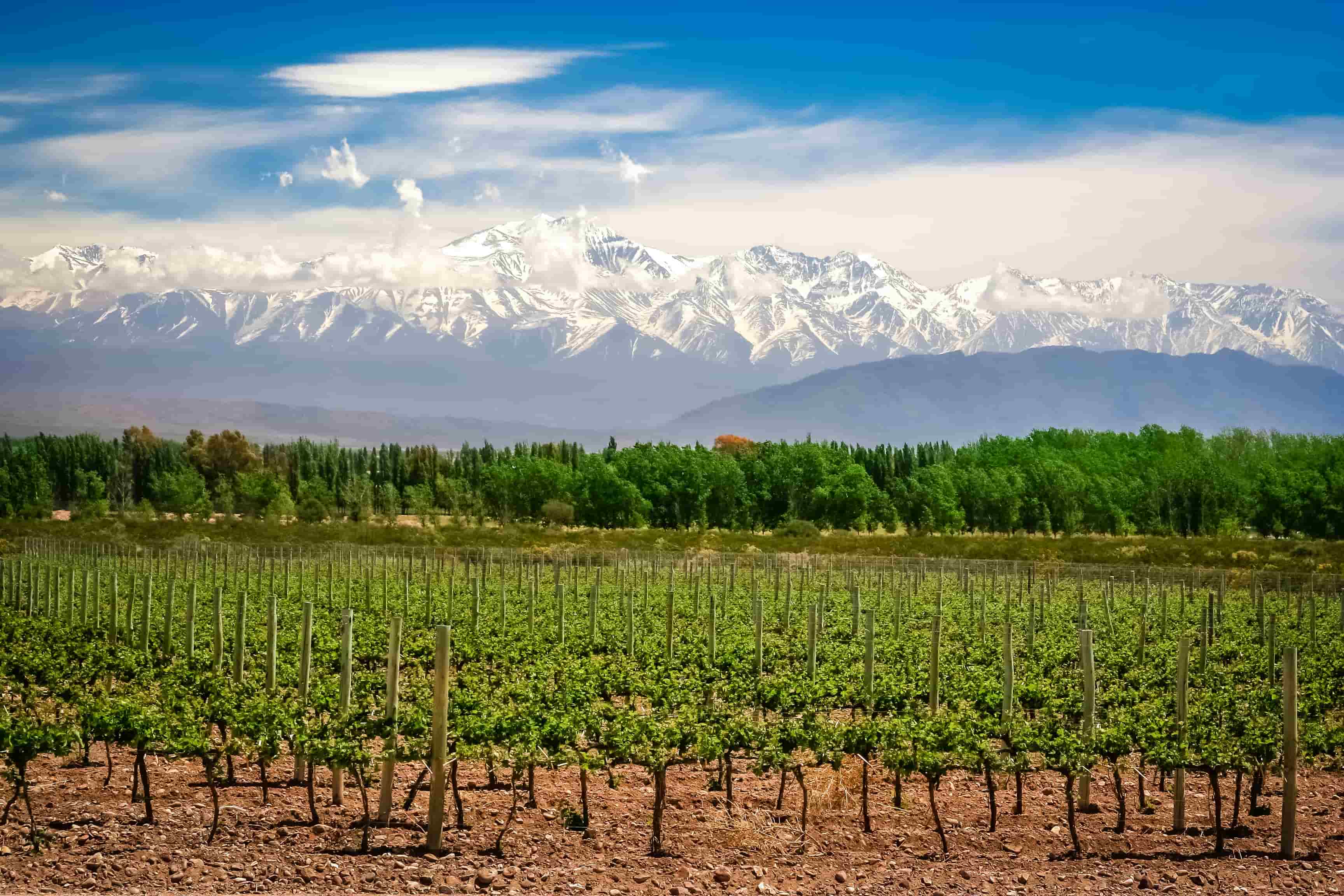 Mendoza Wine Tasting with Mendoza Wine Camp: More than Just Malbec ...