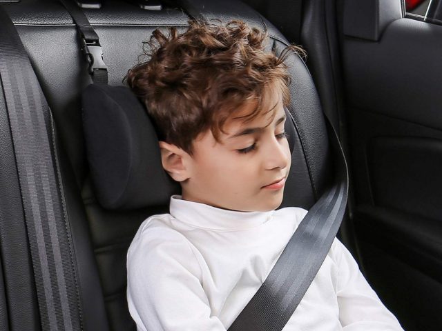 Sahara Nap Neck Pillow for Children / Child Car Pillow / Minky