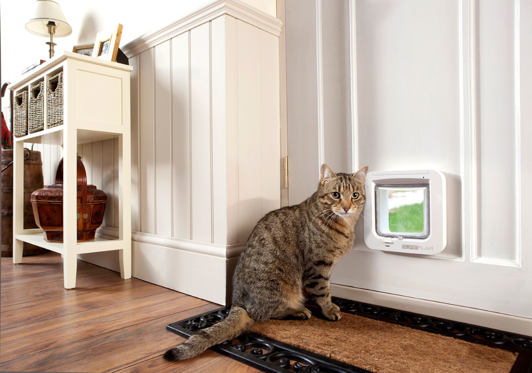 15 Amazing RFID Cat Door for 2023 TouristSecrets