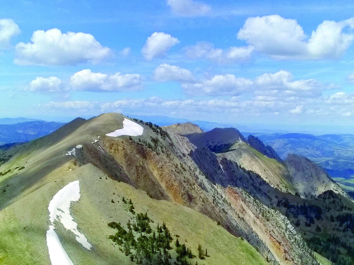 Unveil The Wonders Of Bozeman's Museum Of The Rockies | TouristSecrets