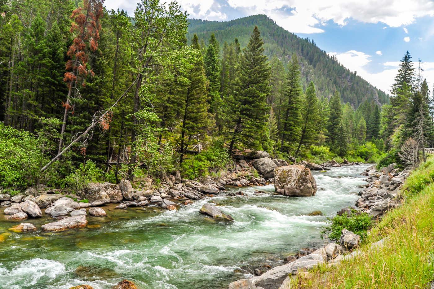 Unveil The Wonders Of Bozeman's Museum Of The Rockies | TouristSecrets