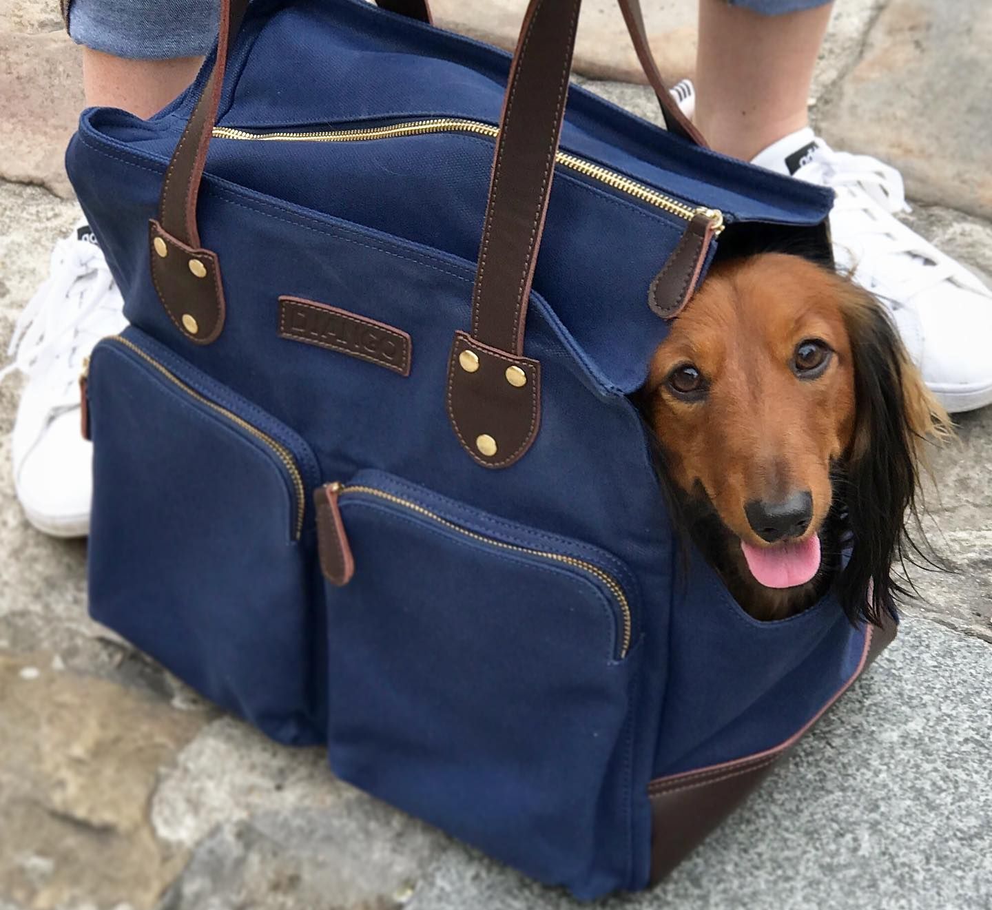 The 6 Best Dog Carrier Purses and Totes of 2023