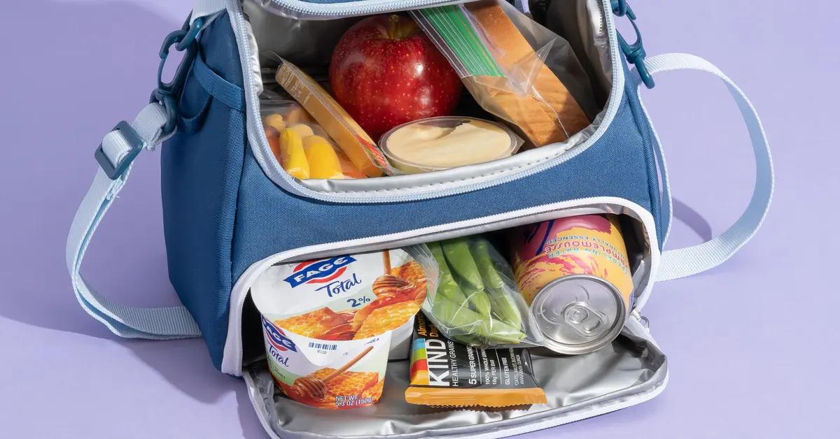 travel food carrier