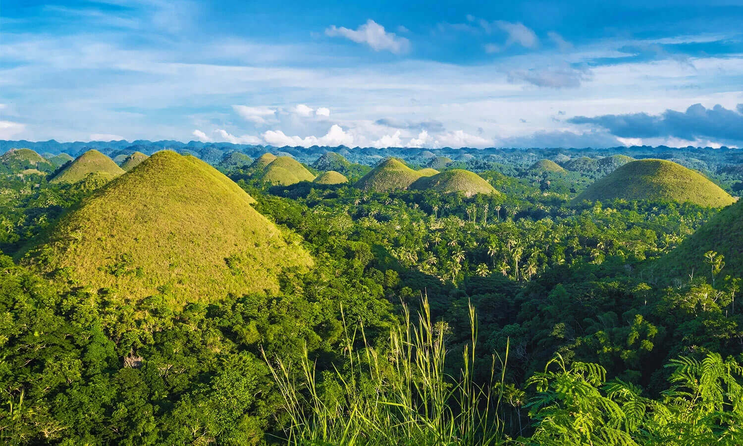 Exploring Bohol Island: A Gem in Visayas, Philippines | TouristSecrets