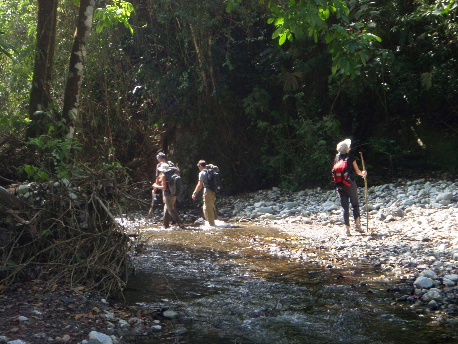 Hiking Corcovado National Park: A Wildlife Adventure | TouristSecrets