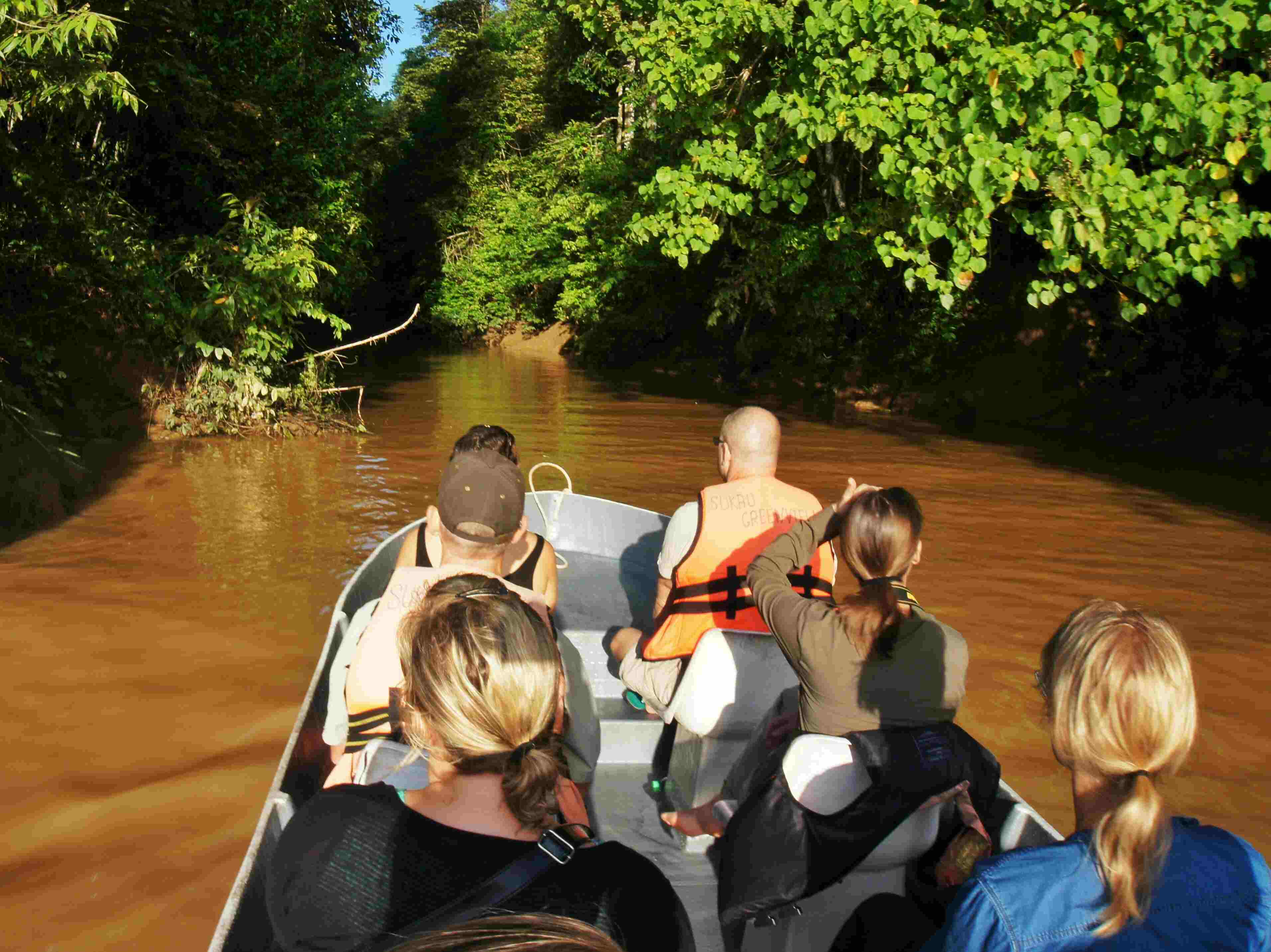 How to take the BEST Kinabatangan River Trip | TouristSecrets