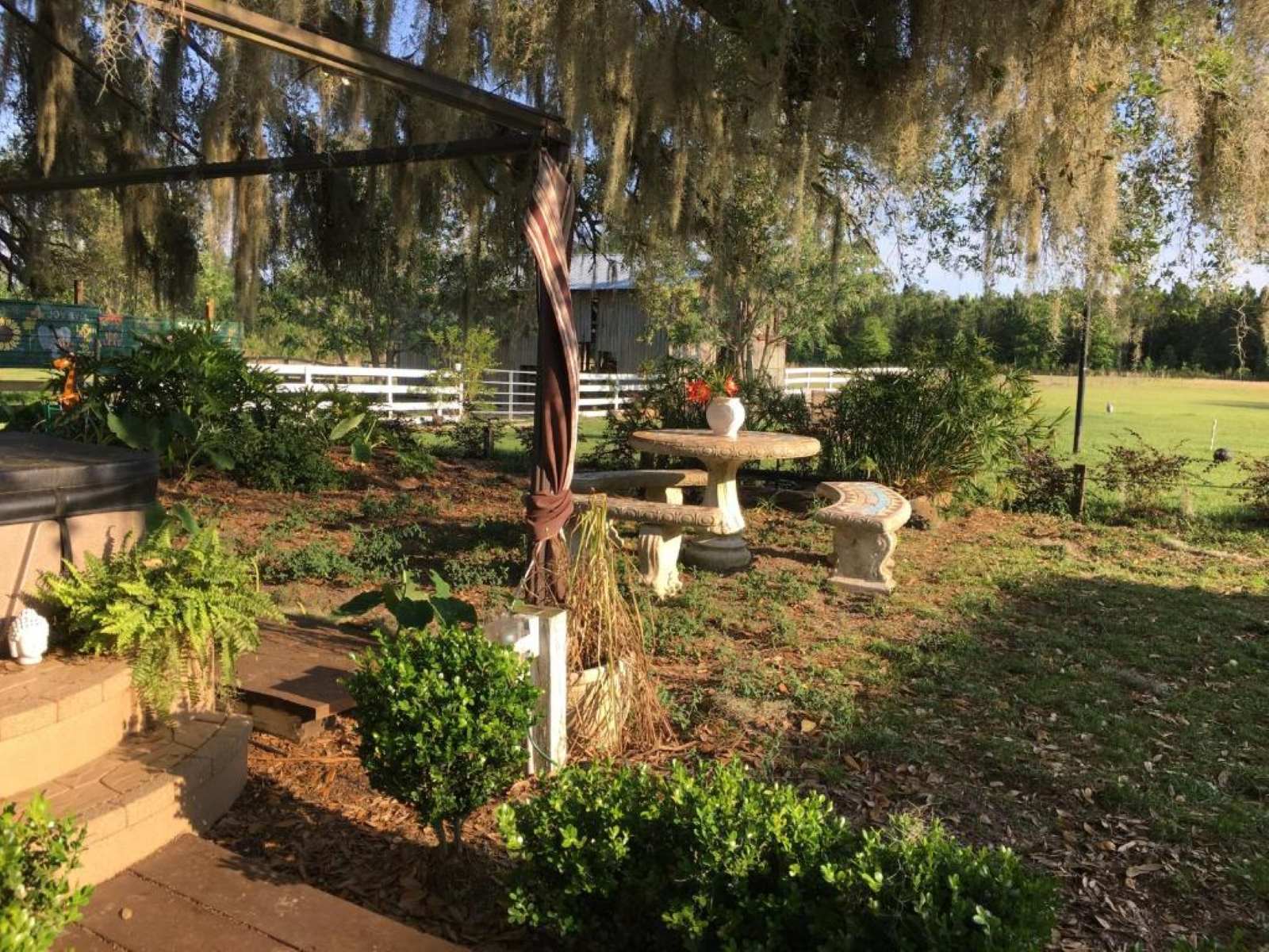 Live Oak Florida's Best Stay - Kokomo Farms | TouristSecrets