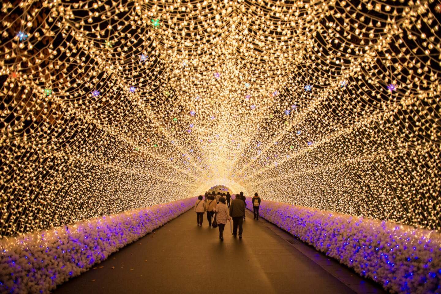 Nabana no Sato Winter Illumination & Flower Park (Guide) | TouristSecrets