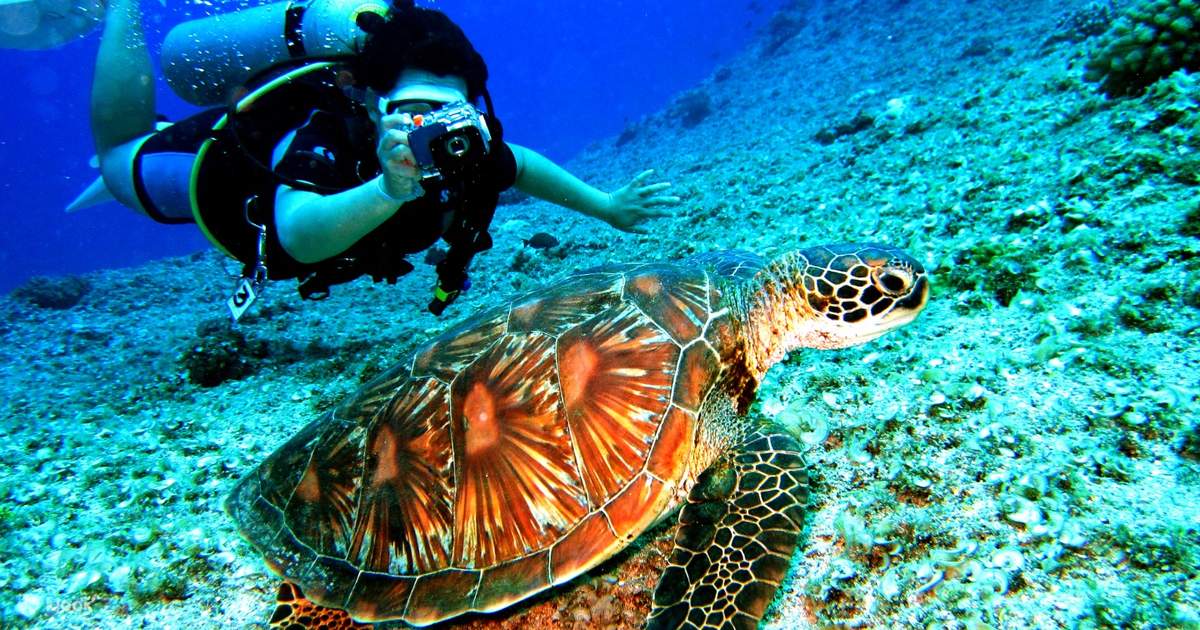 Perhentian Island Diving Touristsecrets