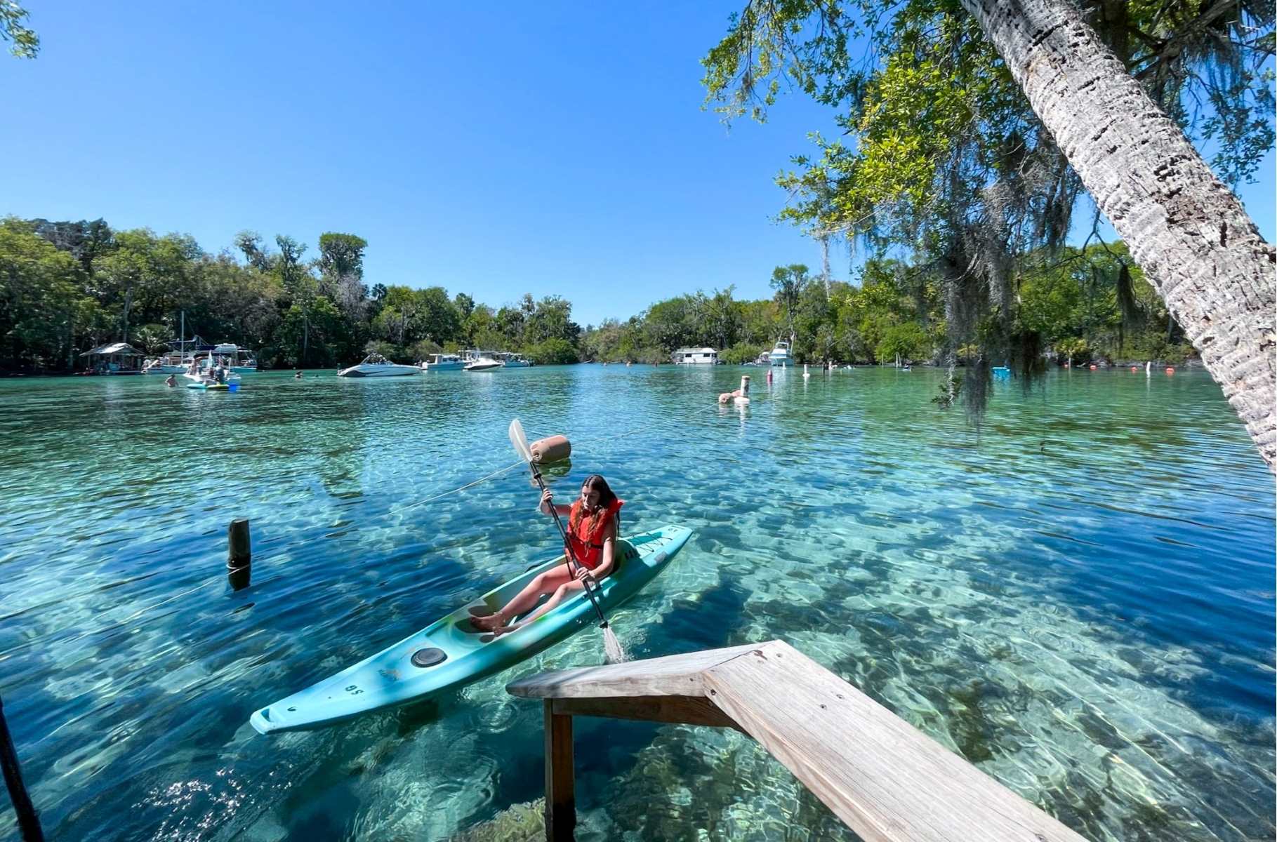 Silver Glen Springs, Florida | TouristSecrets