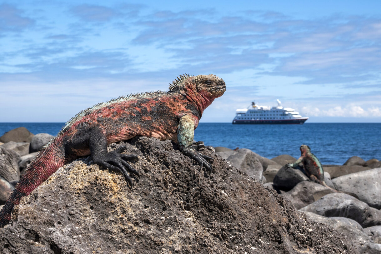 the-best-galapagos-islands-cruise-for-solo-travelers