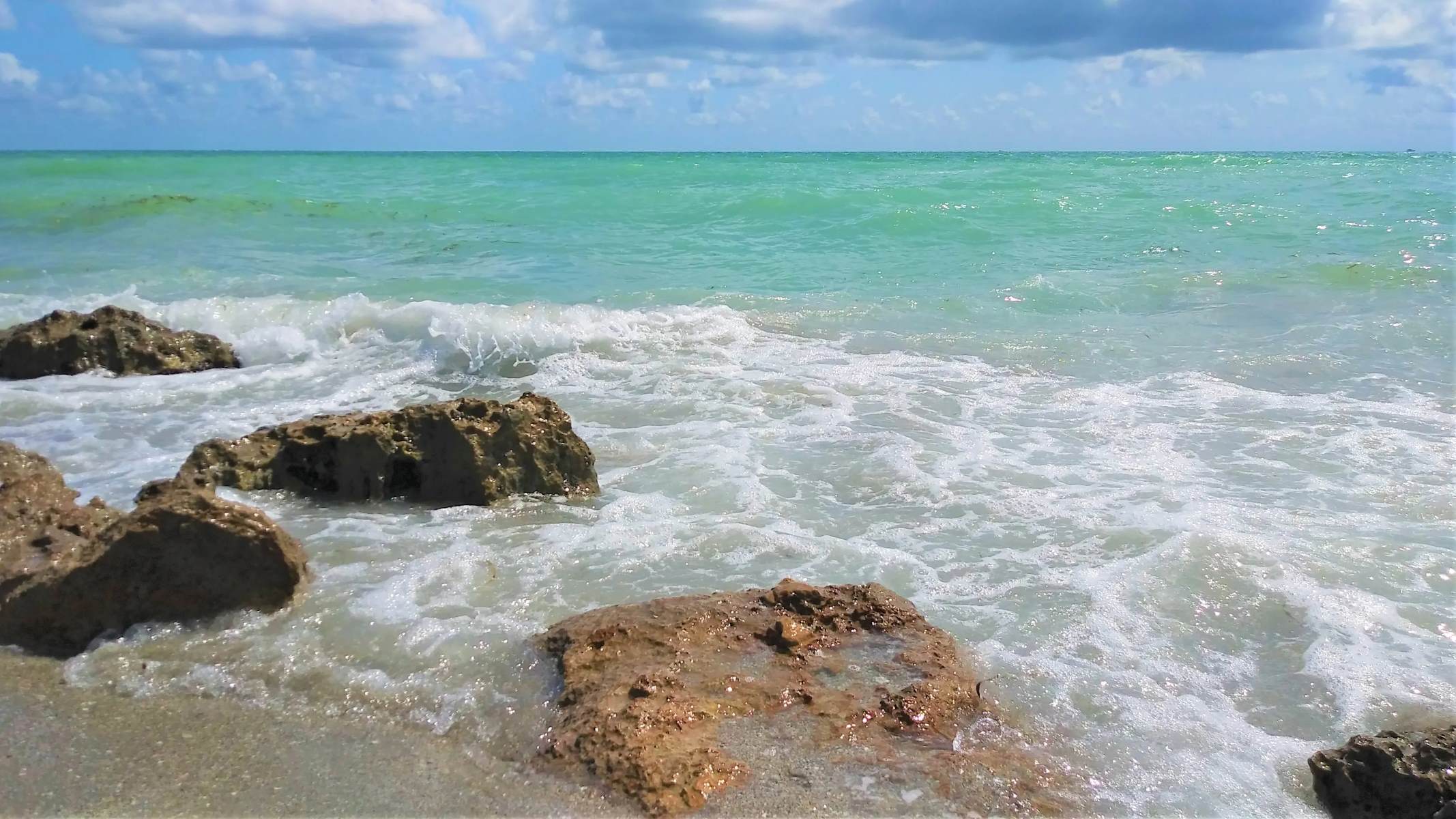 The Best Shark Tooth Beaches in Florida | TouristSecrets