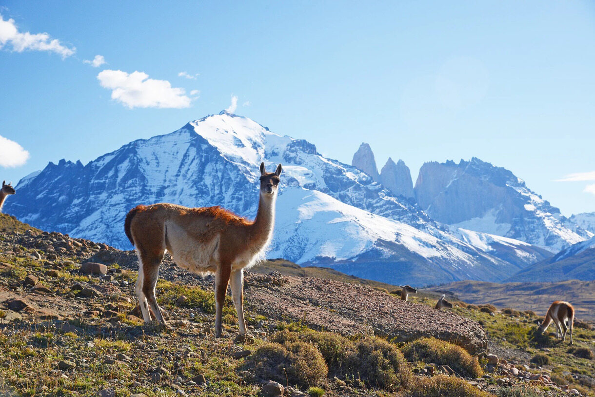 the-cost-of-traveling-in-patagonia-and-how-to-save