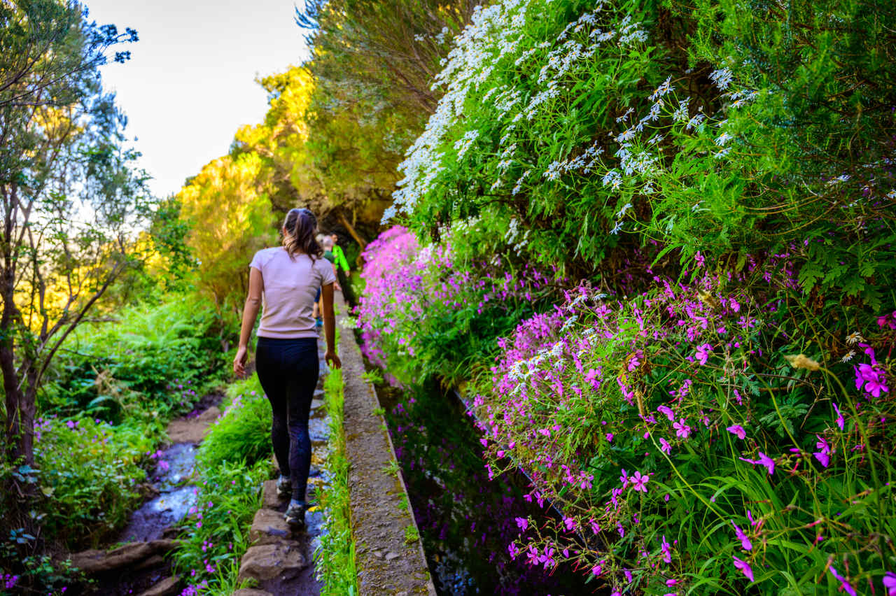 25 Best Levada Walks On Madeira Ultimate Guide Touristsecrets