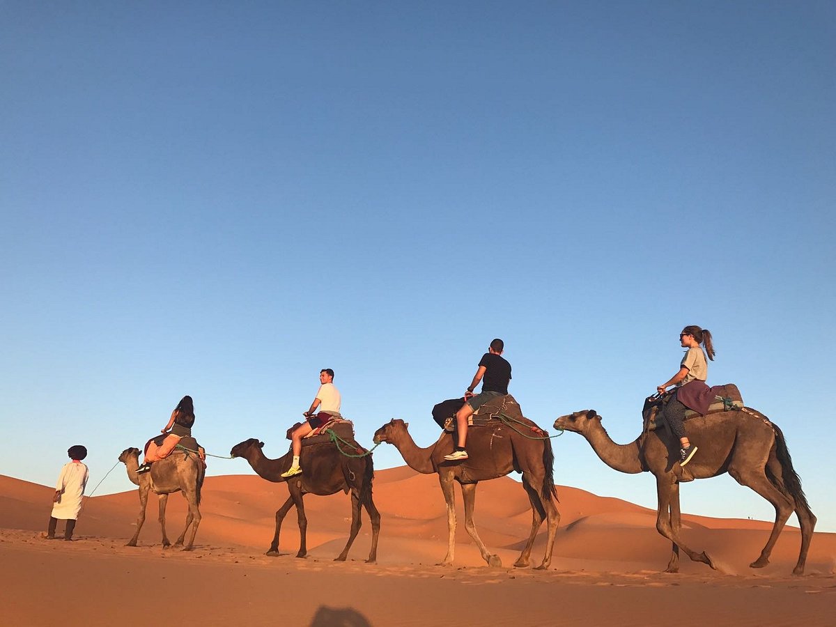 camel-trekking-the-best-camel-riding-in-the-sahara-desert-experience