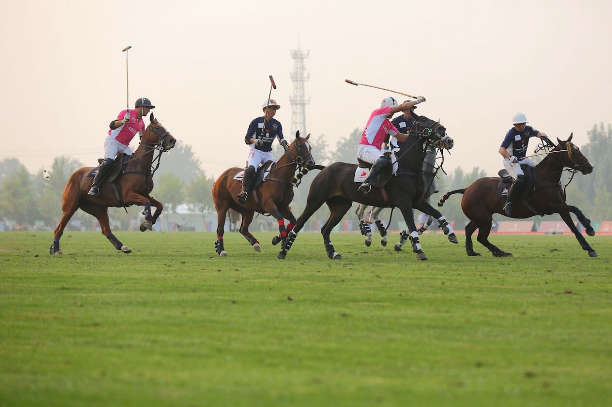 windsor polo club Online Shopping