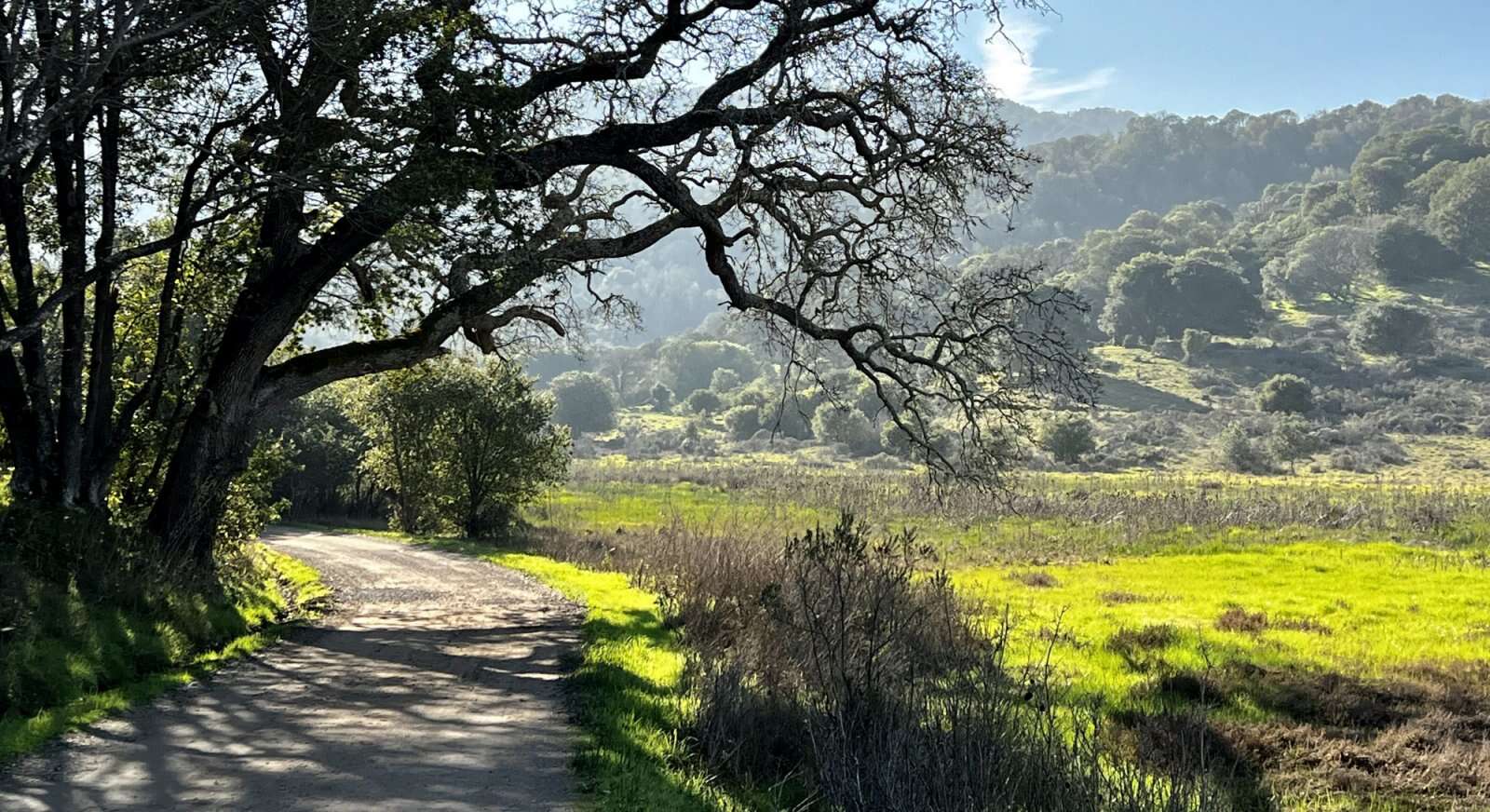 Great Trails in China Camp State Park  TouristSecrets