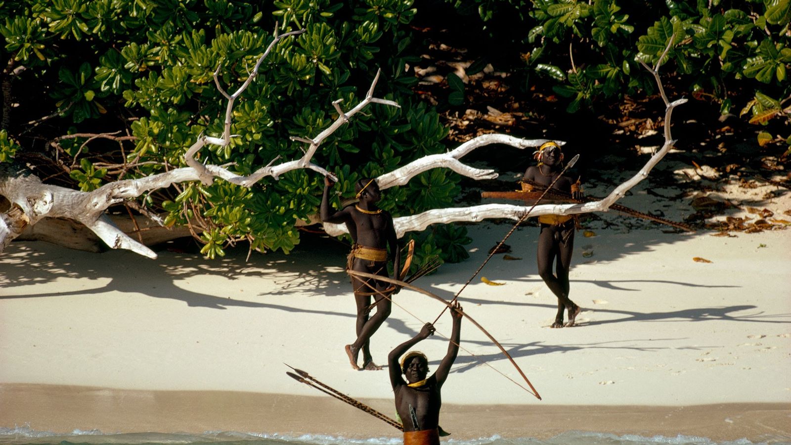 North Sentinel Island A Timeline Of The Worlds Most Isolated Tribe