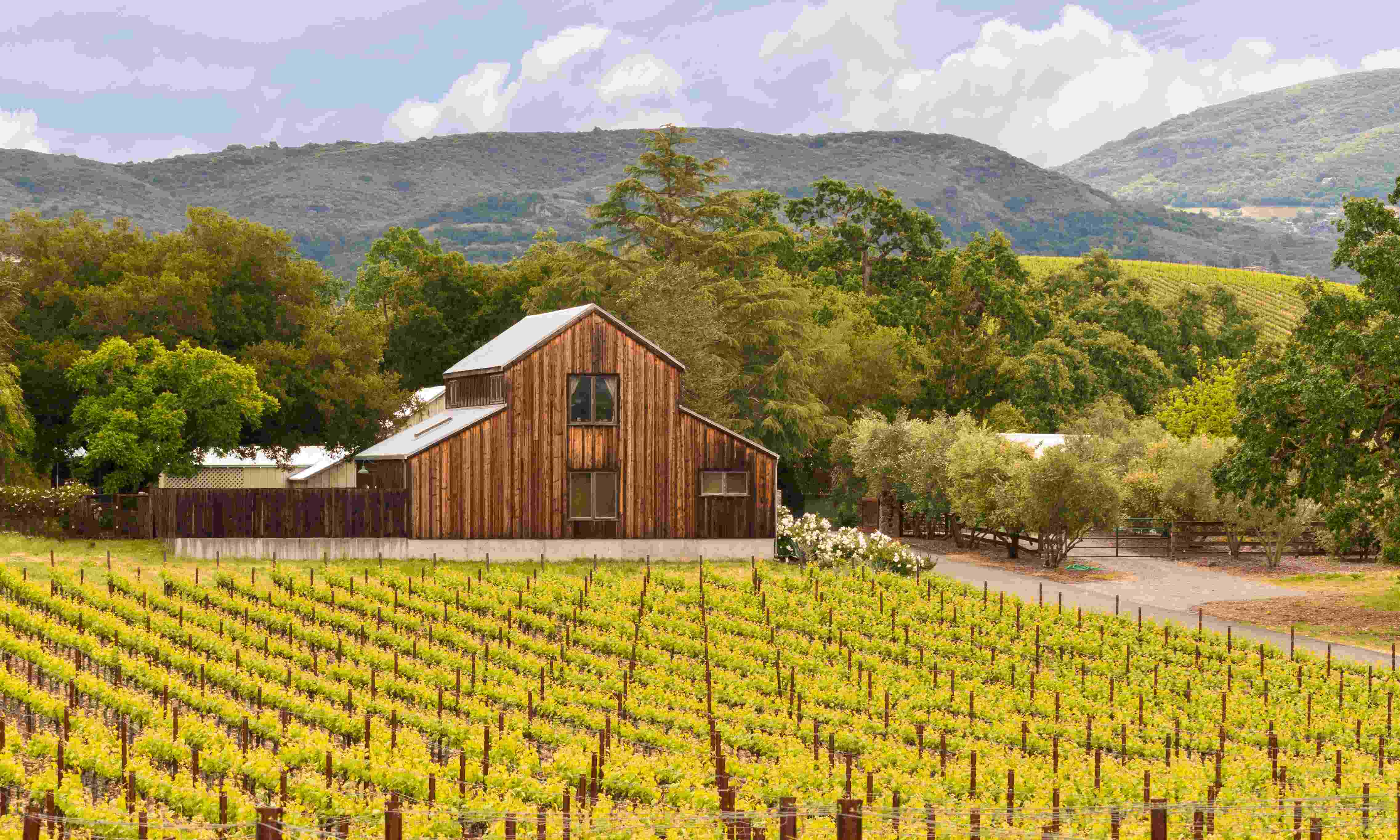 The Coolest Airbnbs In Napa | TouristSecrets