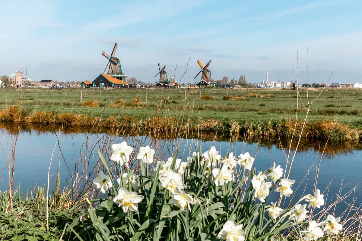 The Ultimate Netherlands Travel Guide  TouristSecrets