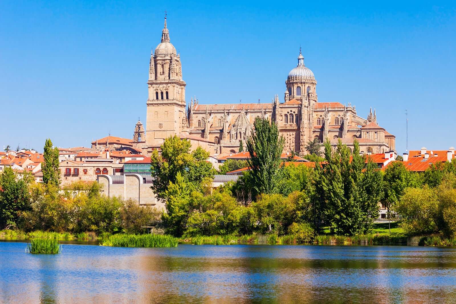 Top Things to See and Do in Salamanca, Spain | TouristSecrets