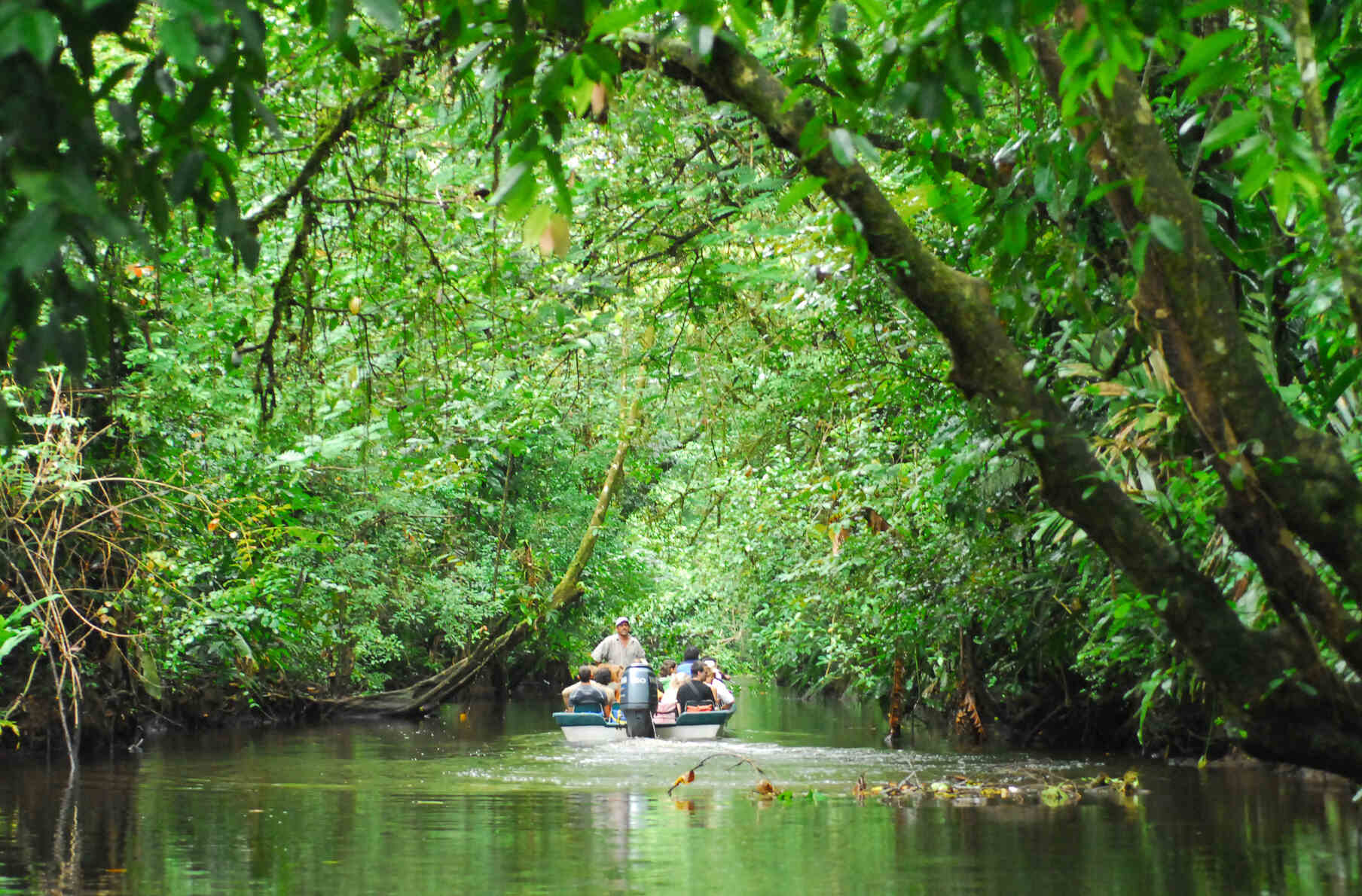 Tortuguero National Park, Costa Rica: What You Need to Know ...