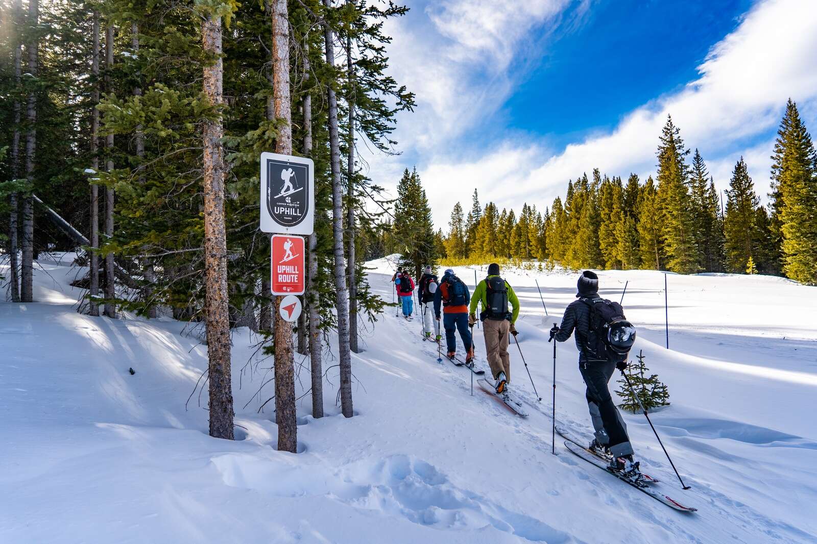 Getting Started In Cross-Country Skiing: A Beginner's Guide ...