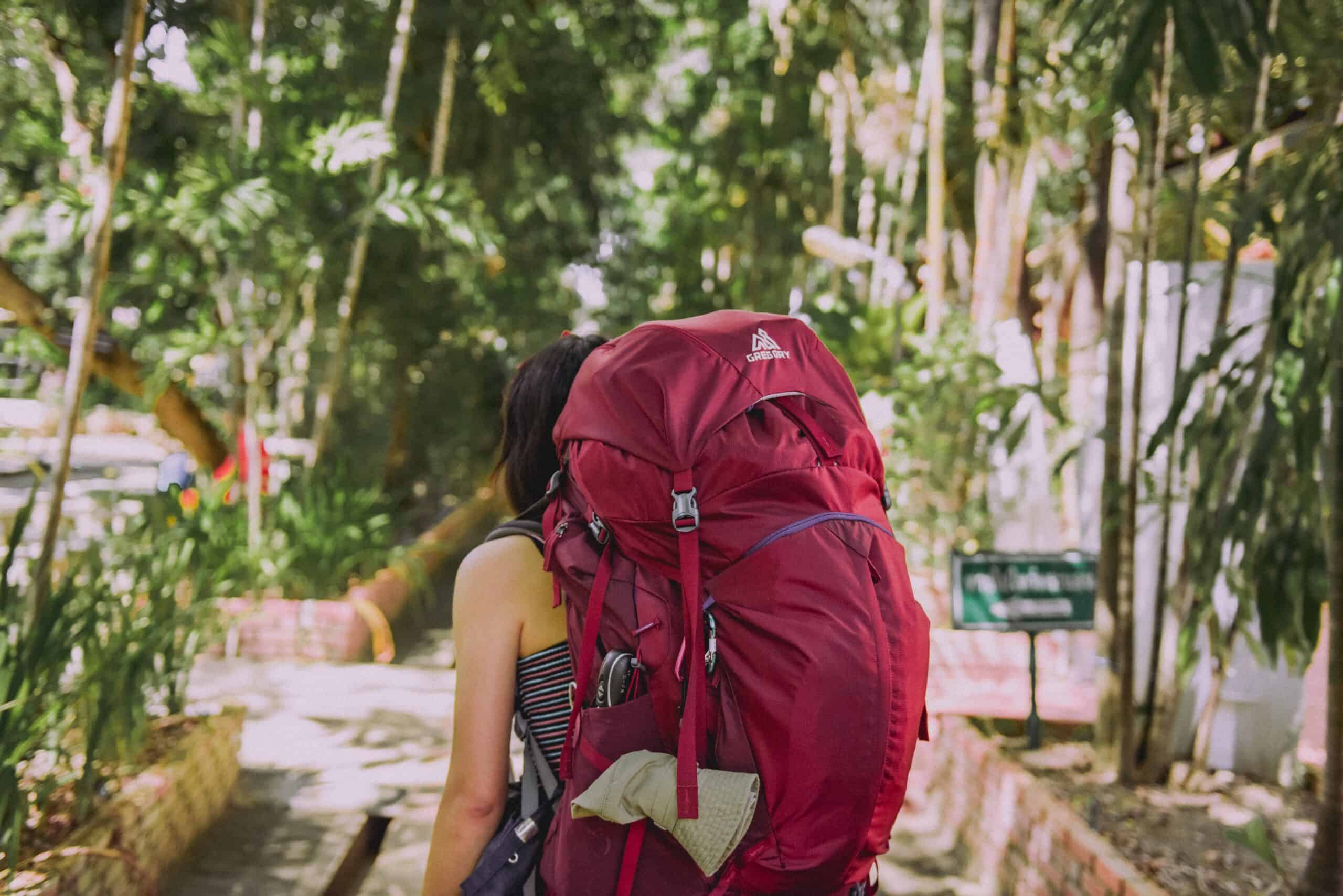 How Much Does A Backpacking Pack Weigh | TouristSecrets