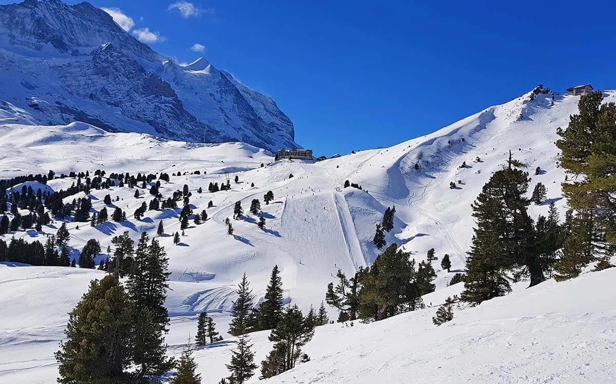 Skiing Season in Switzerland Dates and Details TouristSecrets