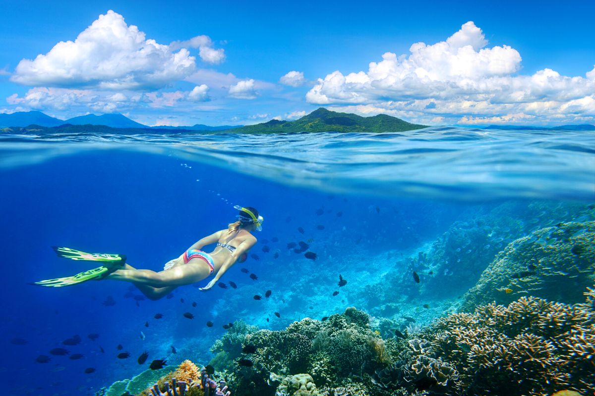 the-10-best-snorkeling-tours-on-oahu-hawaii
