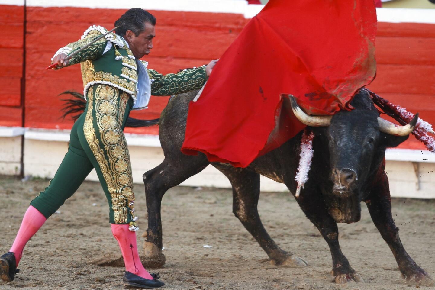 Tijuana’s Last Days of Bullfighting TouristSecrets