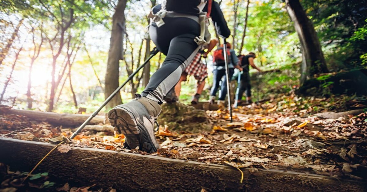 When Should You Use Rubber Tips On Trekking Poles? | TouristSecrets