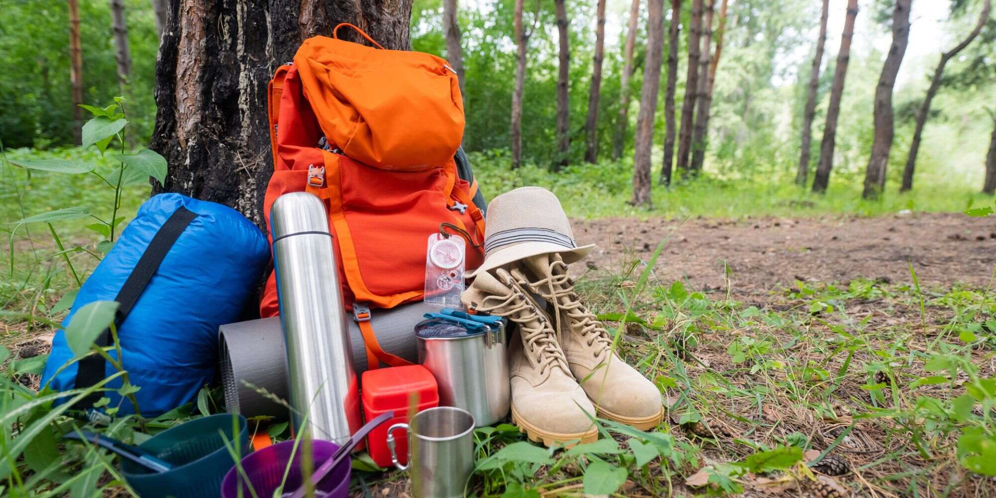 Wildland Trekking: Essentials To Pack For A Backpacking Trip ...