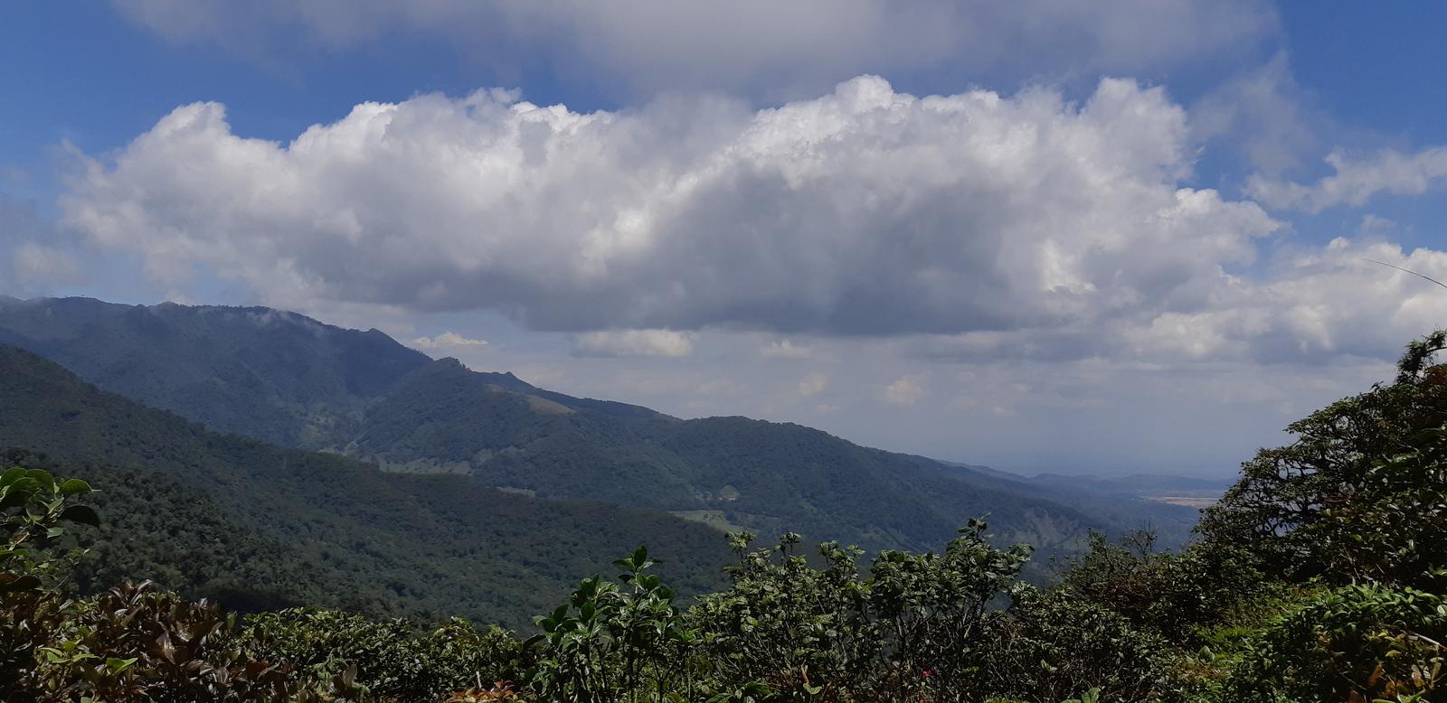 El Pianista Trail In Boquete, Panama: A Hiker's Guide | TouristSecrets