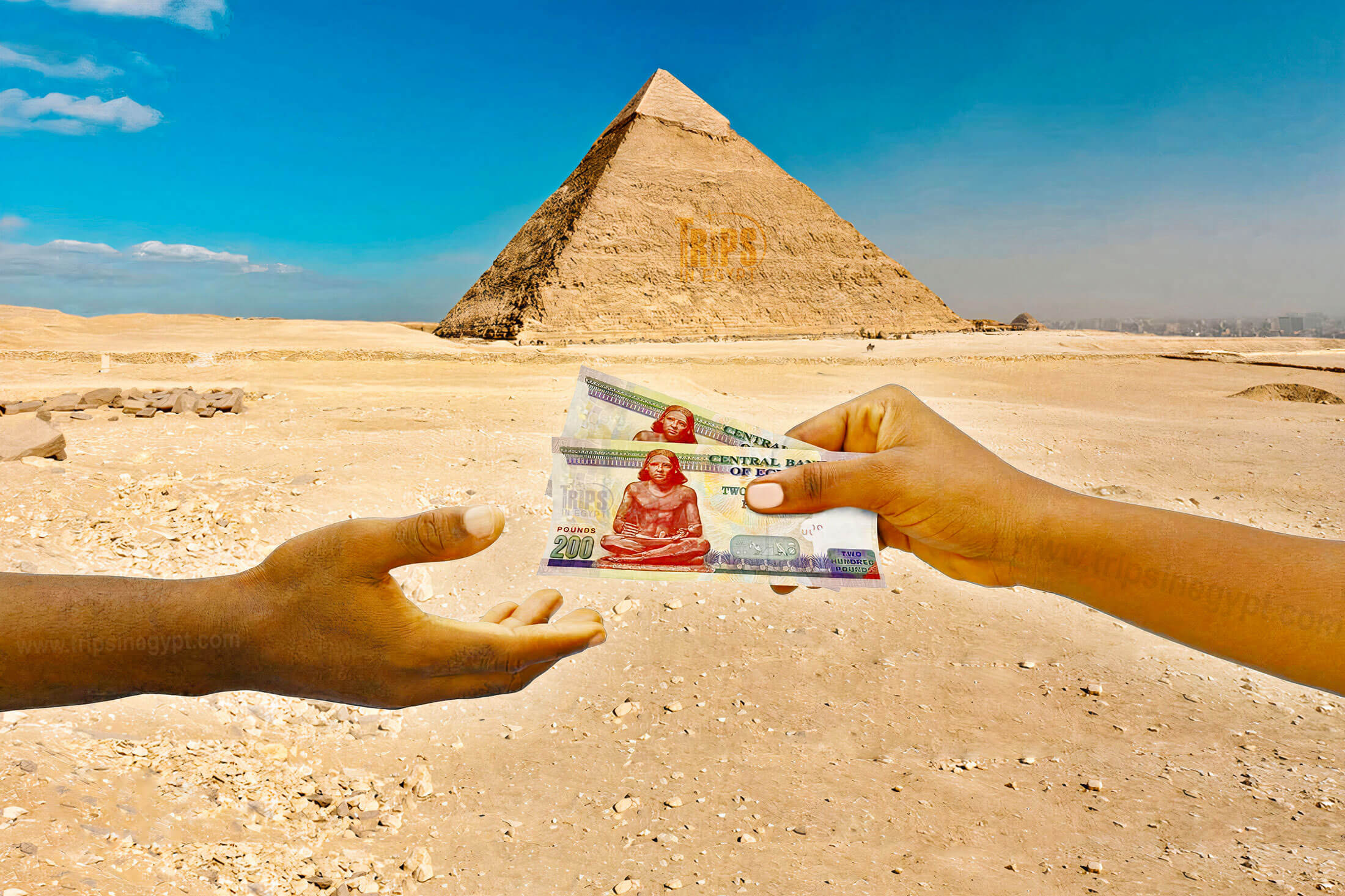 tipping private tour guide egypt