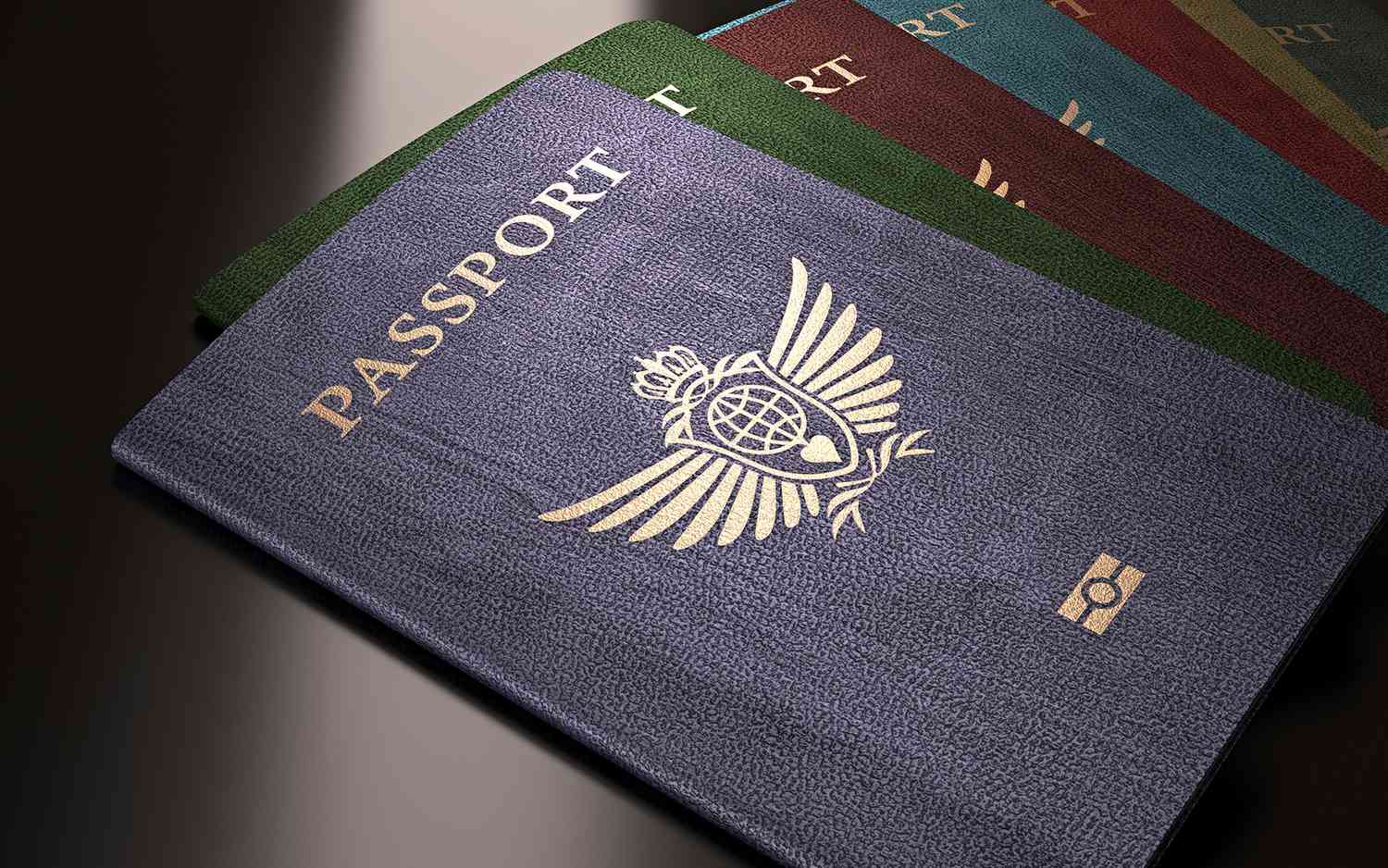 Where Can I Find The Passport Book Number Touristsecrets