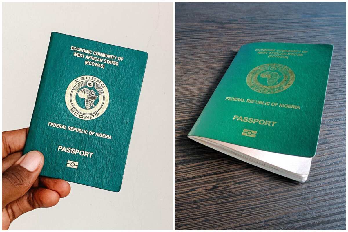 Steps to Obtain a Nigerian Passport | TouristSecrets