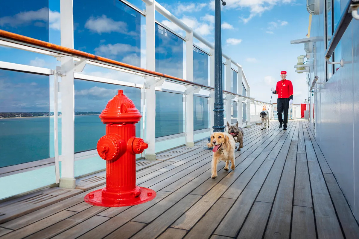 cruise to hawaii that allows dogs
