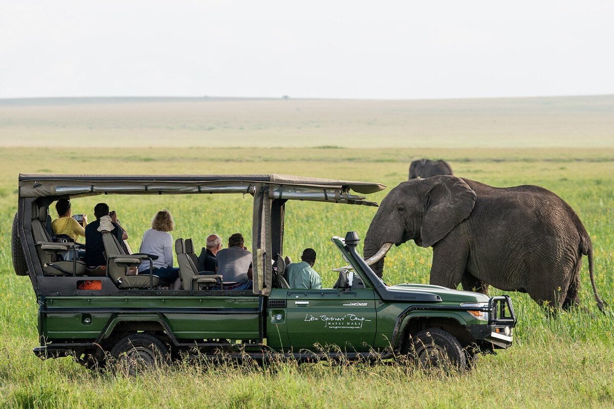 What Is The Average Cost Of An African Safari Trip? | TouristSecrets