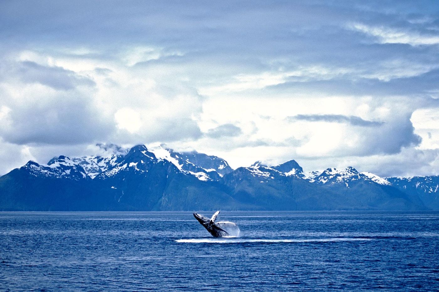 What To See On Alaska Cruise | TouristSecrets