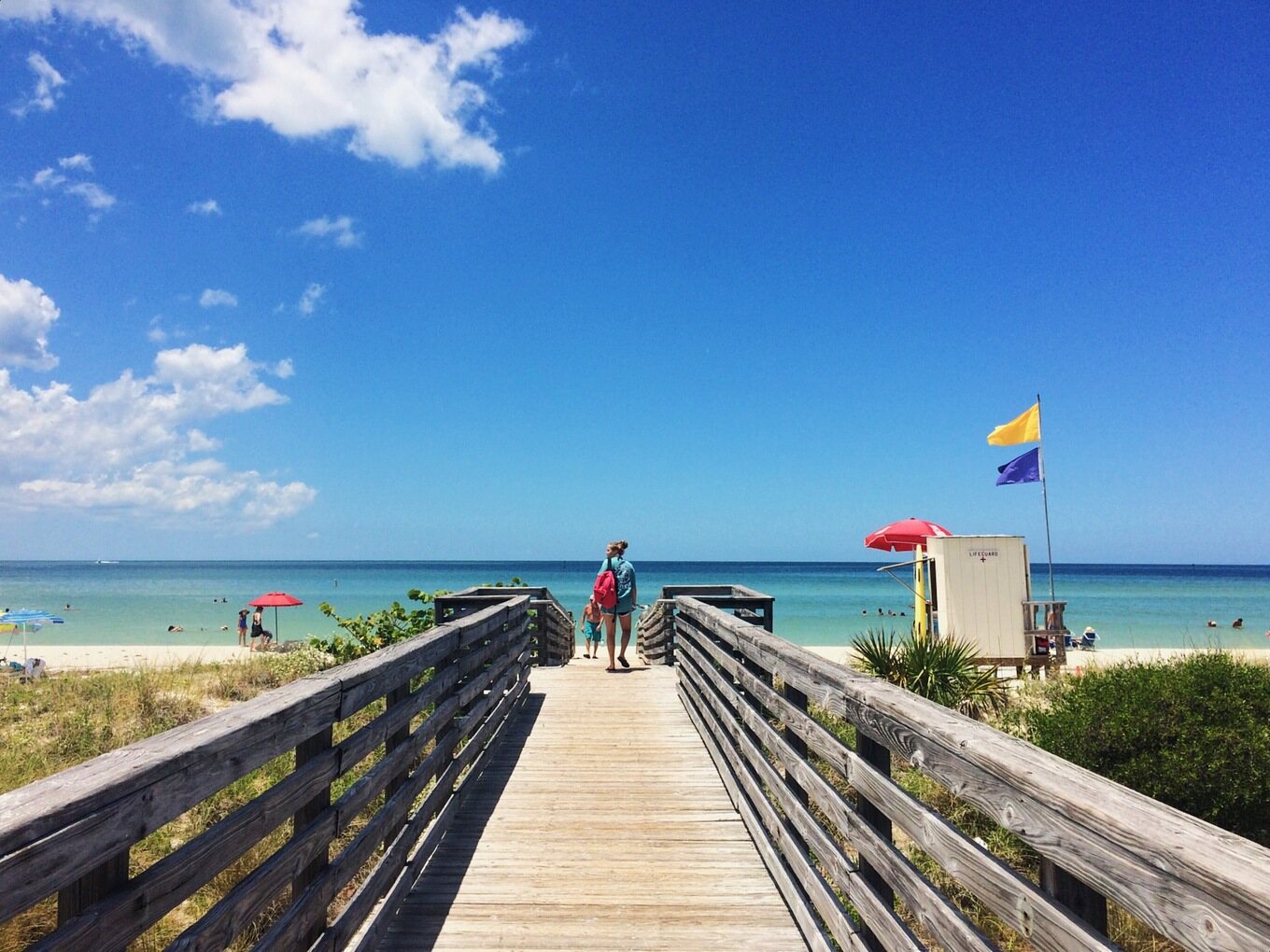 Where Is Honeymoon Island In Florida | TouristSecrets