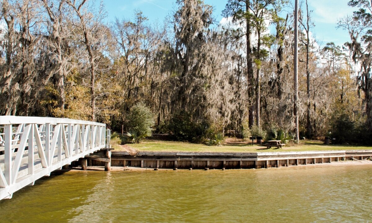 6 Scenic Hikes To Take In Conroe, Texas 