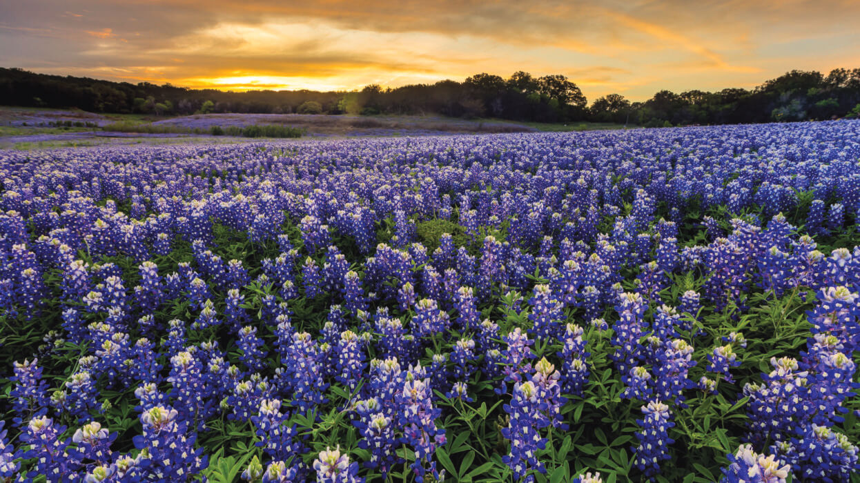 8 Best Spots for Photography in Flower Mound, Texas | TouristSecrets