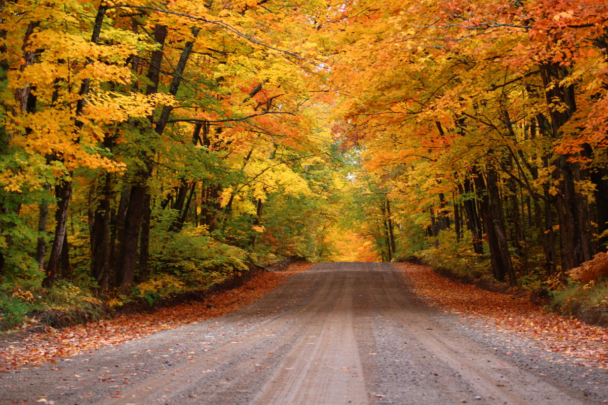 8 Breathtaking Road Trips In Lansing, Michigan 