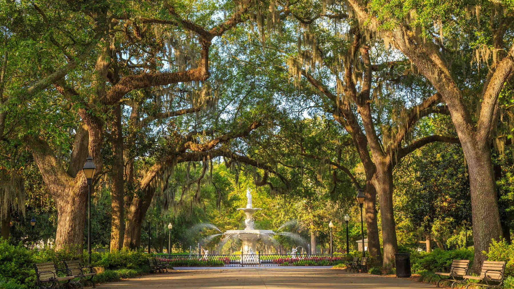 9 Stunning Natural Wonders In Savannah, Georgia 