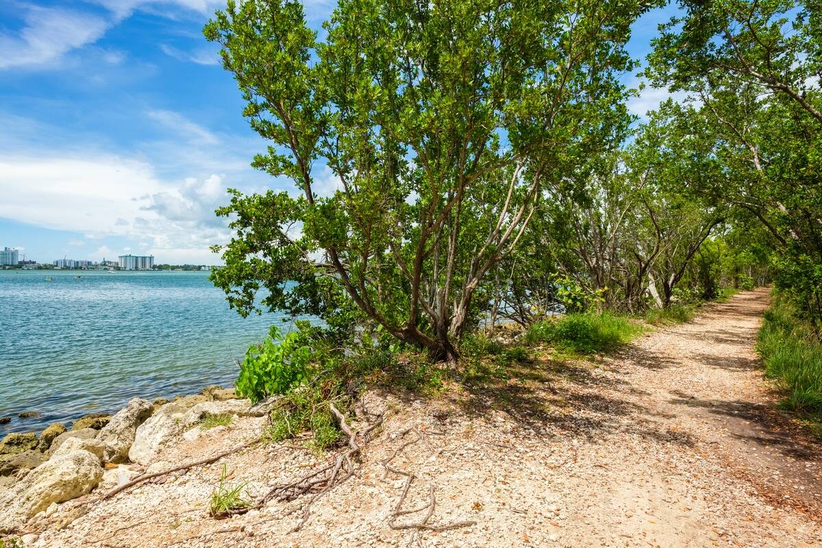 6 Scenic Hikes to Take in Miami Beach, Florida | TouristSecrets