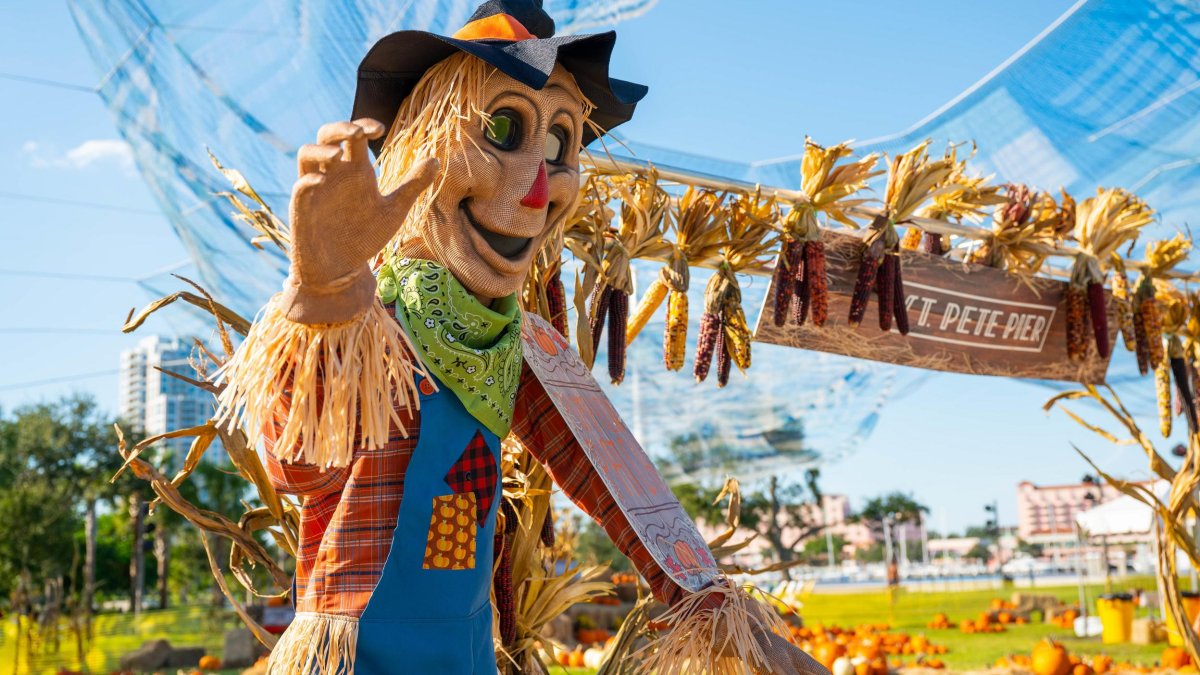 6 Vibrant Festivals/Events to Attend in St. Petersburg, Florida ...