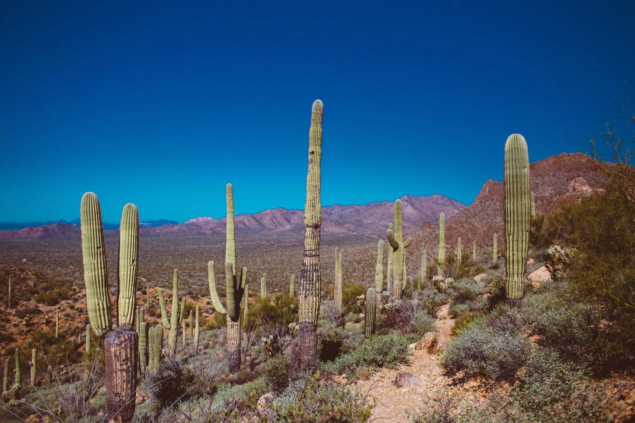 9 Hidden Gems To Explore In Surprise, Arizona | TouristSecrets